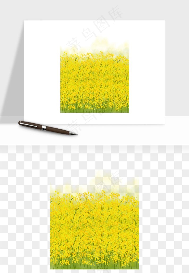 油菜花田png免抠