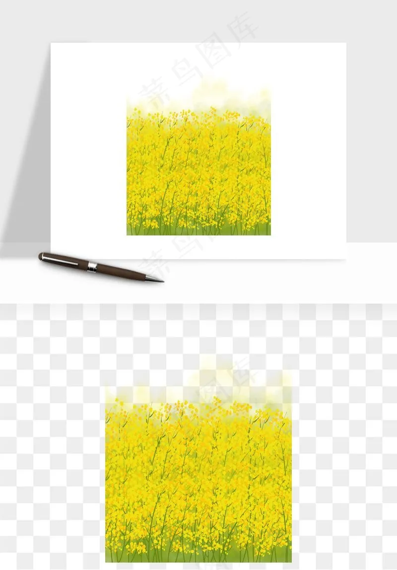 油菜花田png免抠