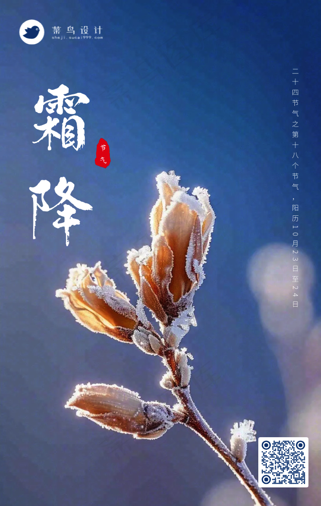 霜降手机海报