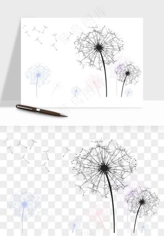 唯美蒲公英种子png免抠