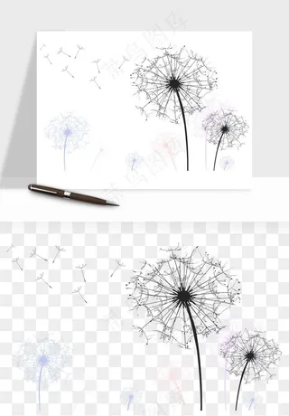 唯美蒲公英种子png免抠