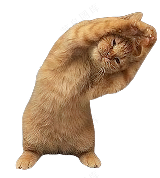 png免抠搞笑有趣动物