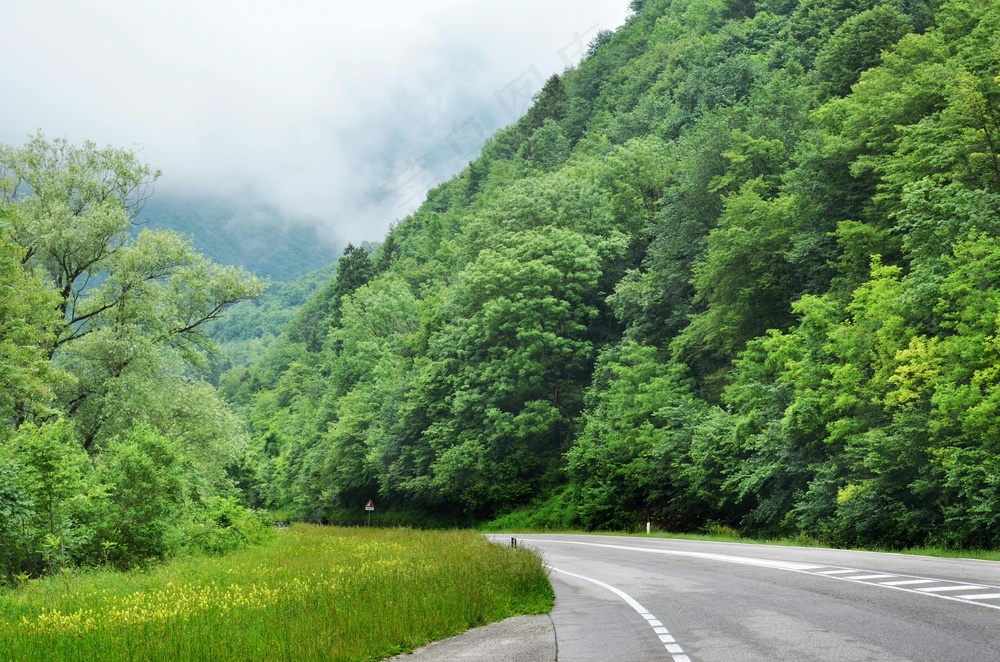 翠绿山谷间的宁静公路