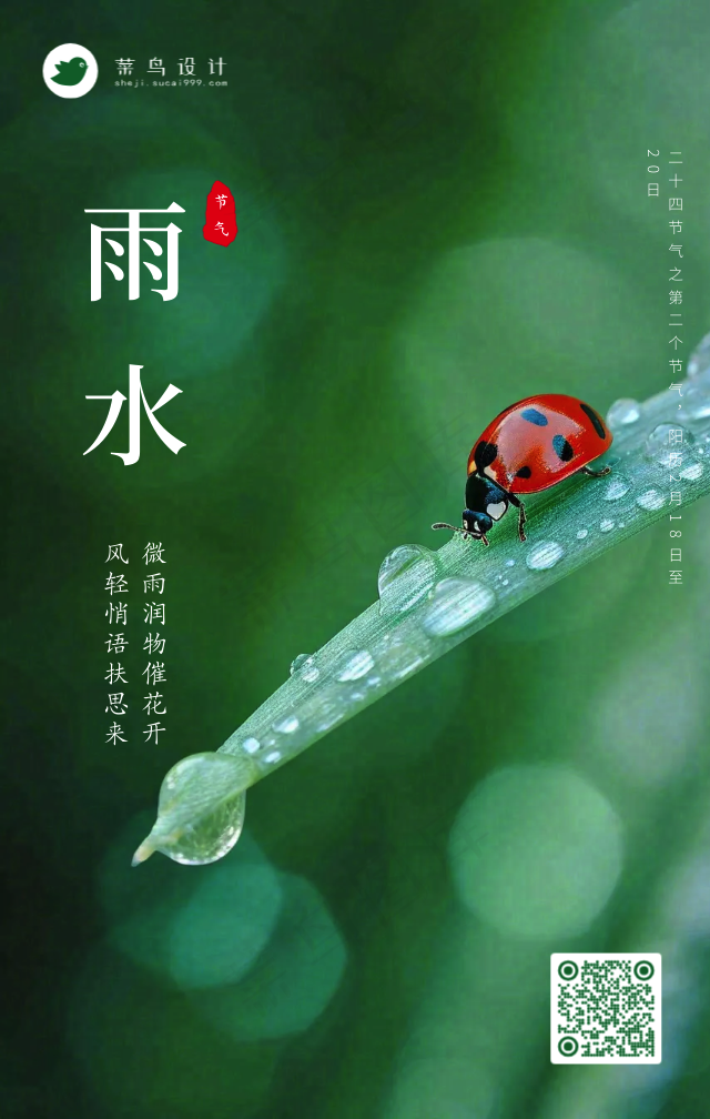雨水手机海报