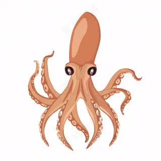 海洋动物章鱼墨鱼鱿鱼卡通插画免抠