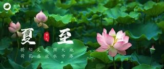 夏至公众号首图