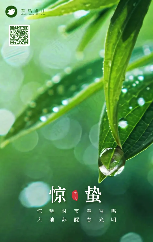 惊蛰手机海报