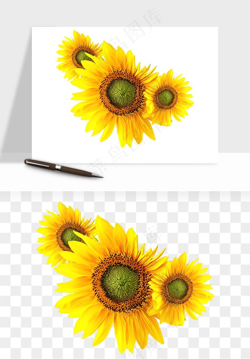 向日葵太阳花卉png免抠