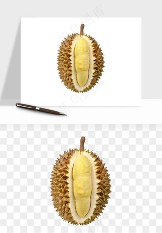 榴莲果肉水果png免抠