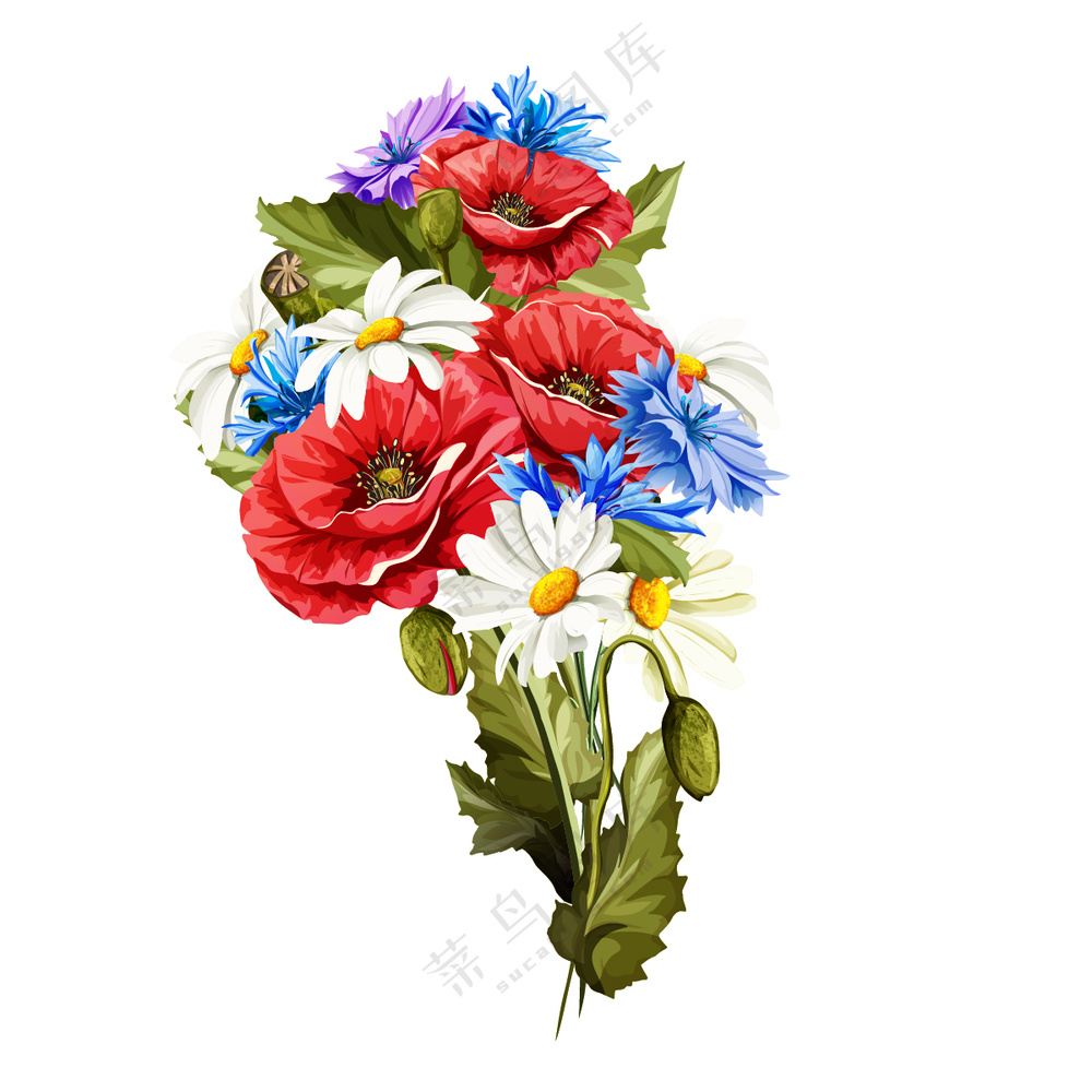 矢量鲜花插画