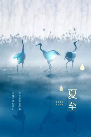 夏至节气传统活动海报