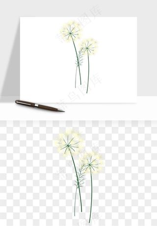 唯美蒲公英种子png免抠