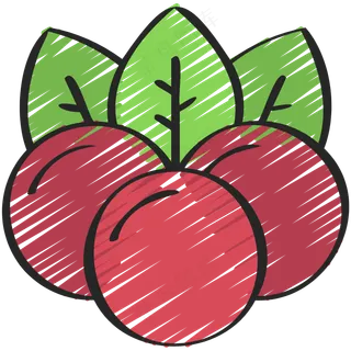 野生莓果 铅笔手绘图标icon