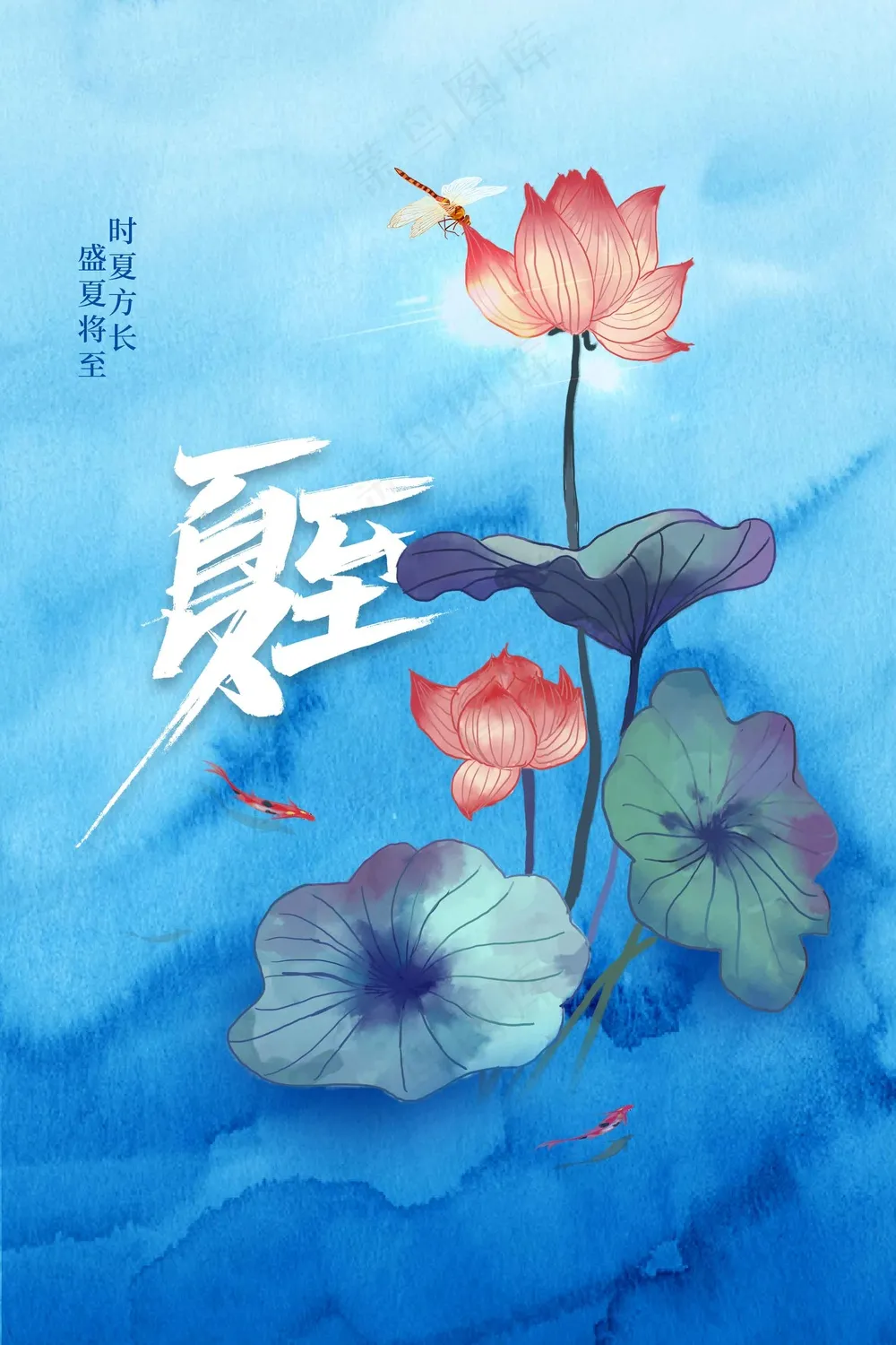 简约清新夏至节气海报