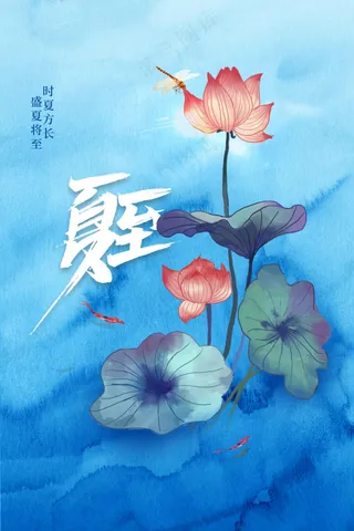 简约清新夏至节气海报