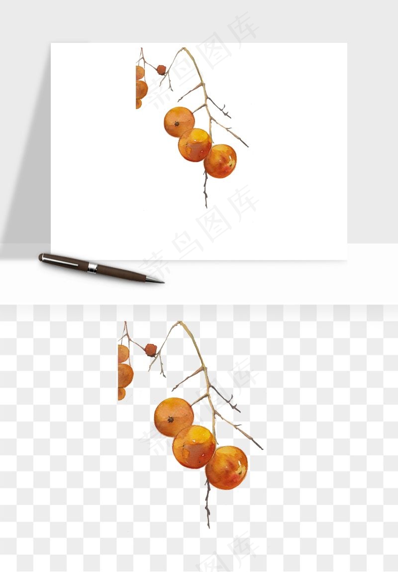 手绘柿子树秋png免抠
