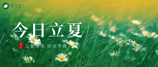 立夏公众号首图