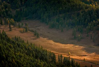 晨光中的宁静河谷