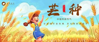 芒种公众号首图