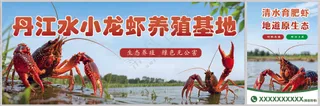 小龙虾基地