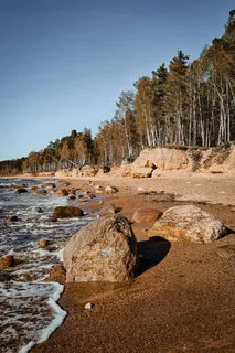 金色沙滩的静谧时光