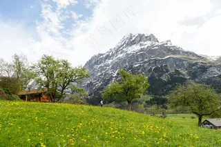 绿野黄花雪顶居：宁静田园蓝绿珍藏