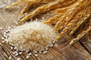 世界粮食日谷物米饭稻谷小麦摄影图