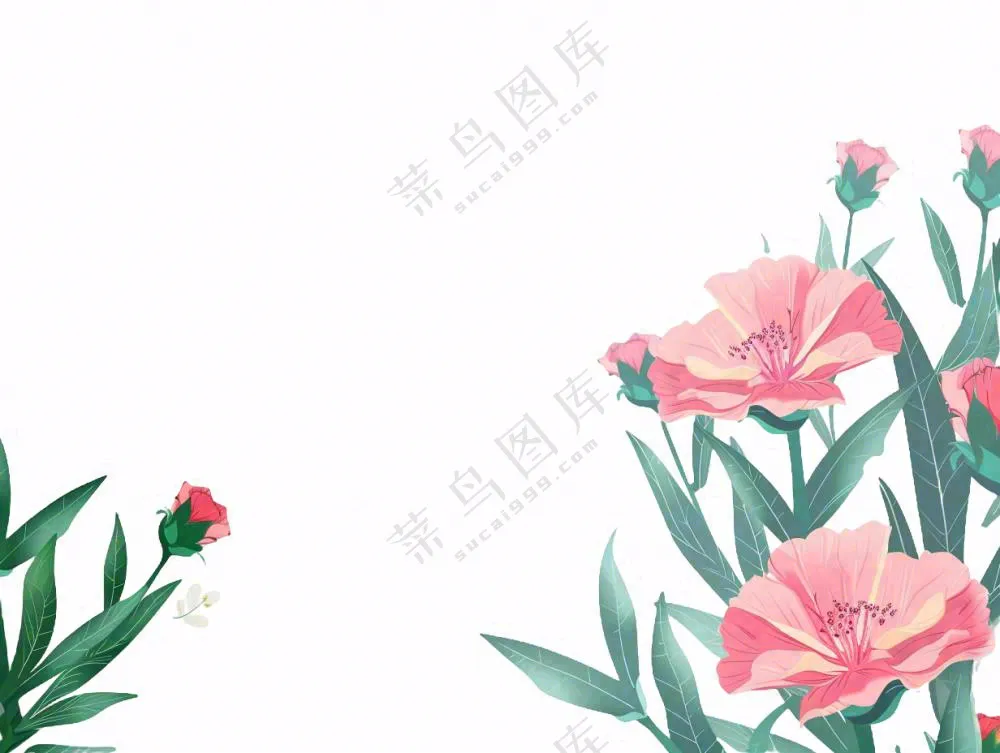 康乃馨鲜花花丛植物插画免抠
