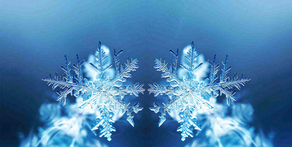 冬季雪花水晶蓝色寒冷小寒大寒大雪摄影图