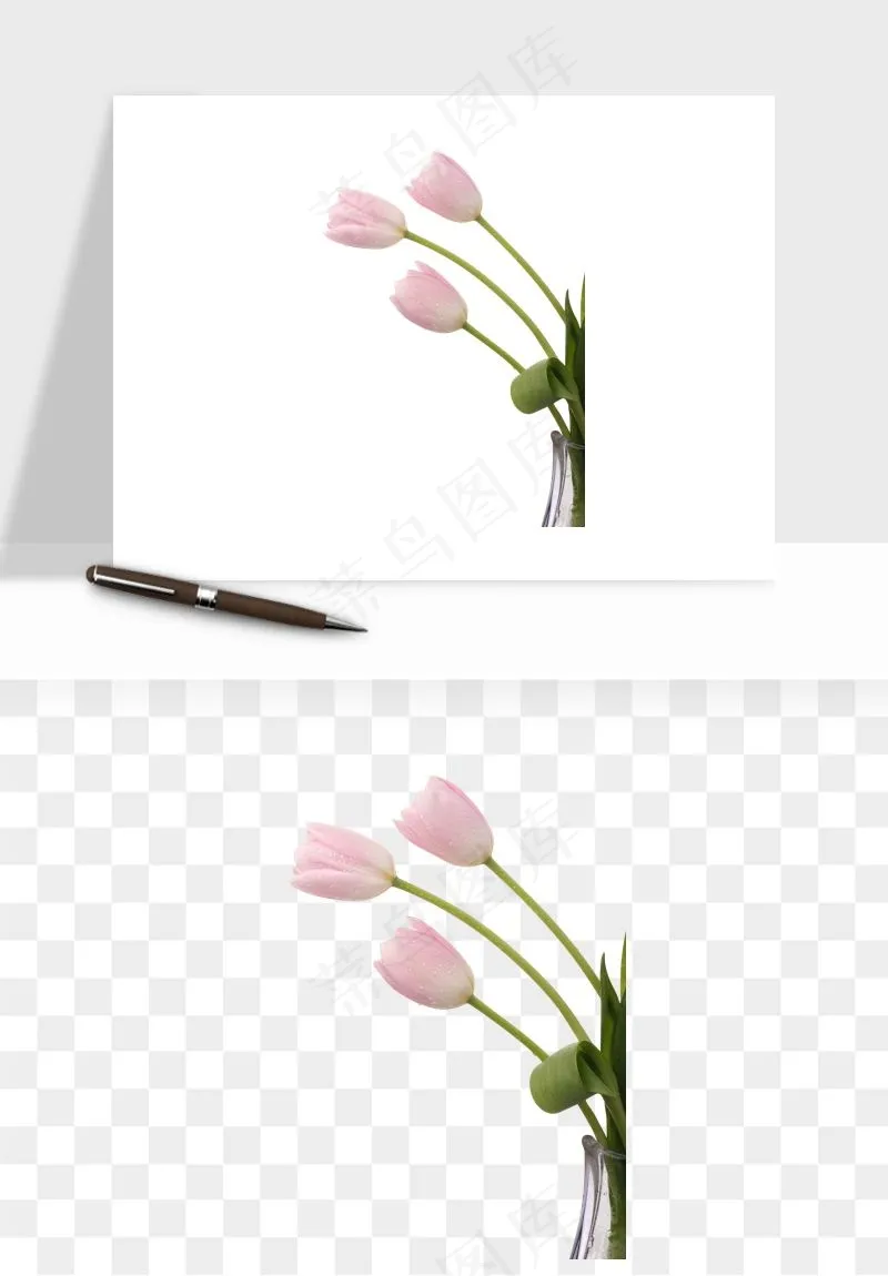 荷兰郁金香鲜花png免抠