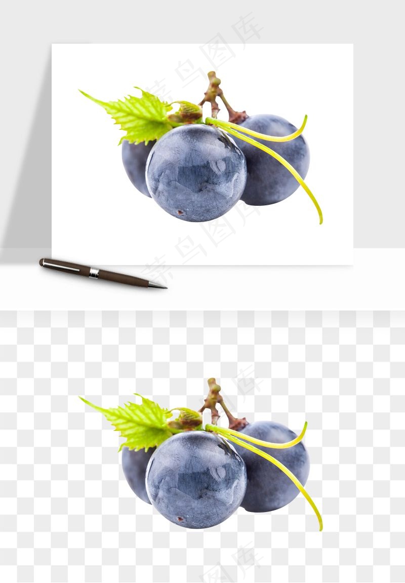 蓝莓水果png免抠