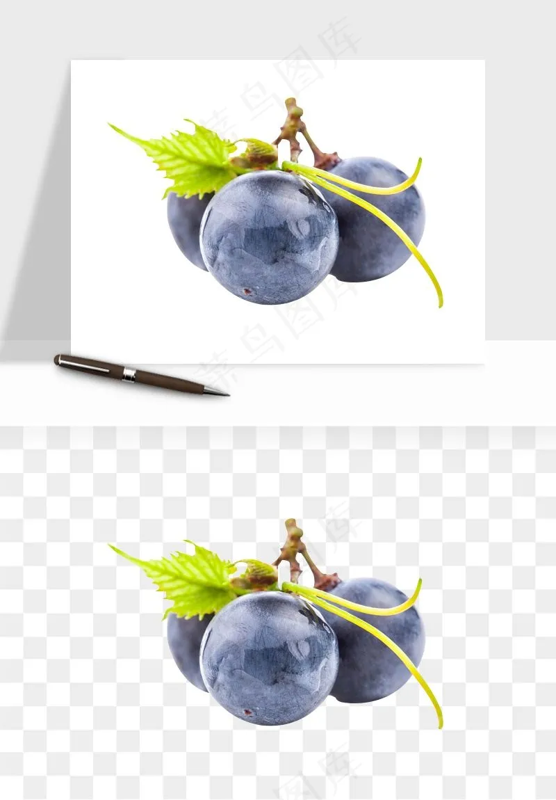 蓝莓水果png免抠