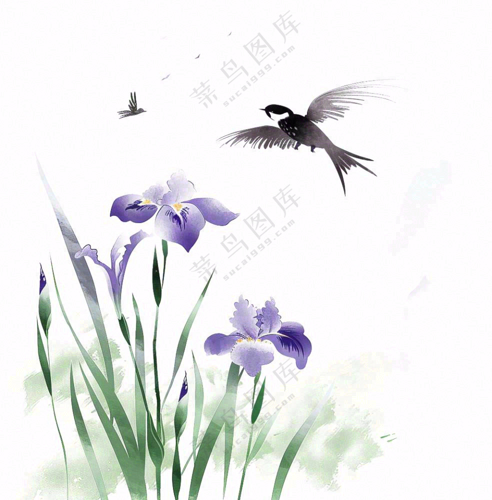 水墨画兰花鸟类紫色兰花插画免抠