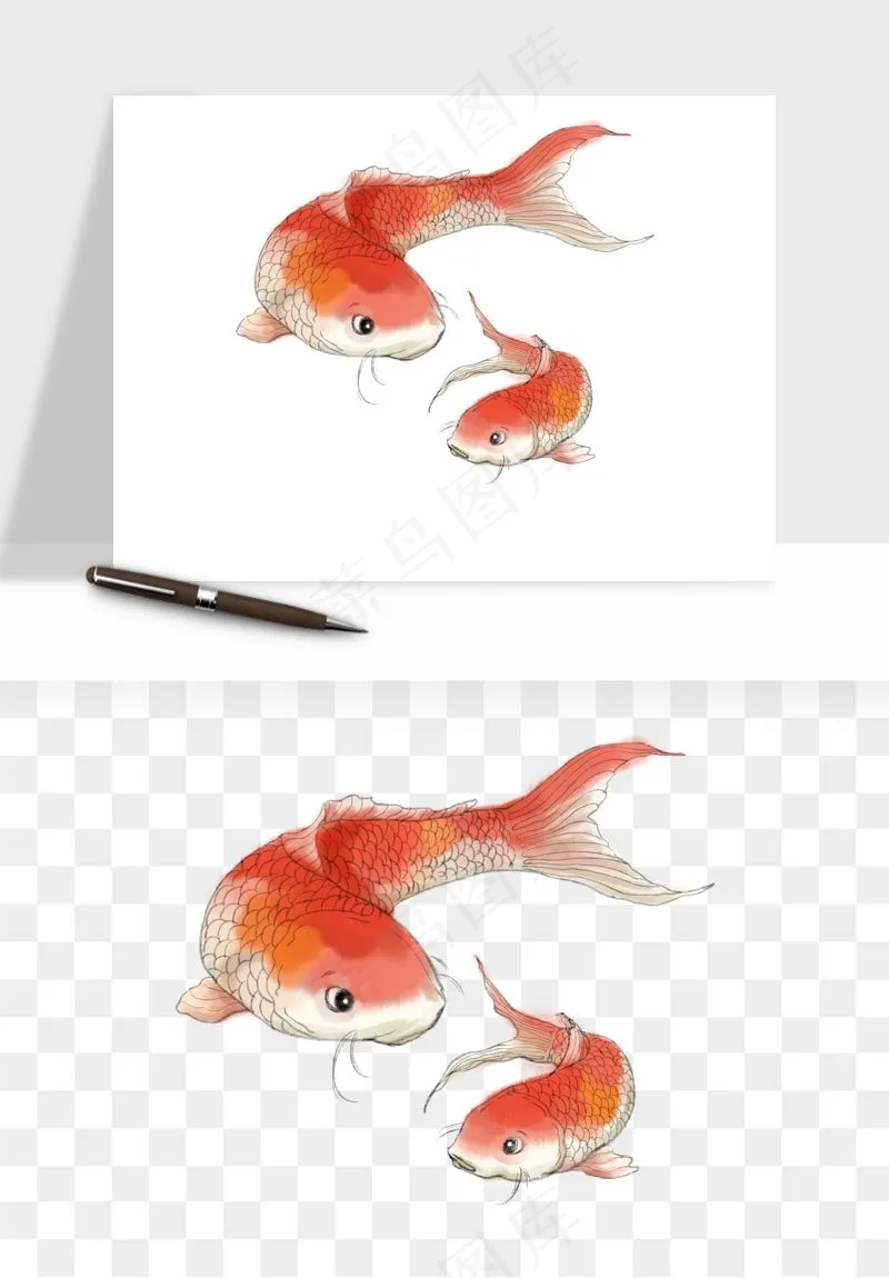 锦鲤鱼手绘水墨png免抠