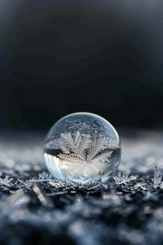 冬天结霜结冰的雪花霜降立冬摄影图