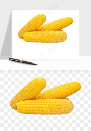 玉米带叶玉米png免抠