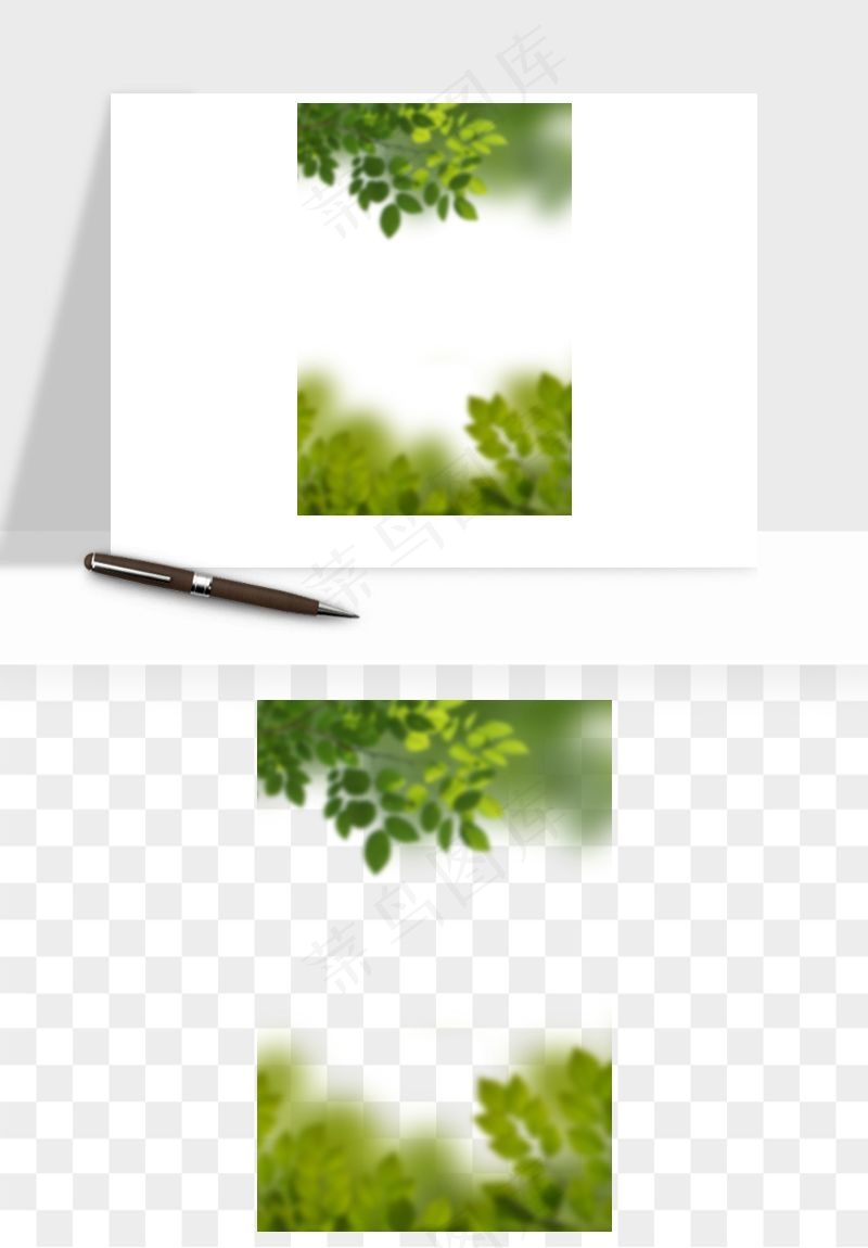 绿叶虚化前景树枝png免抠