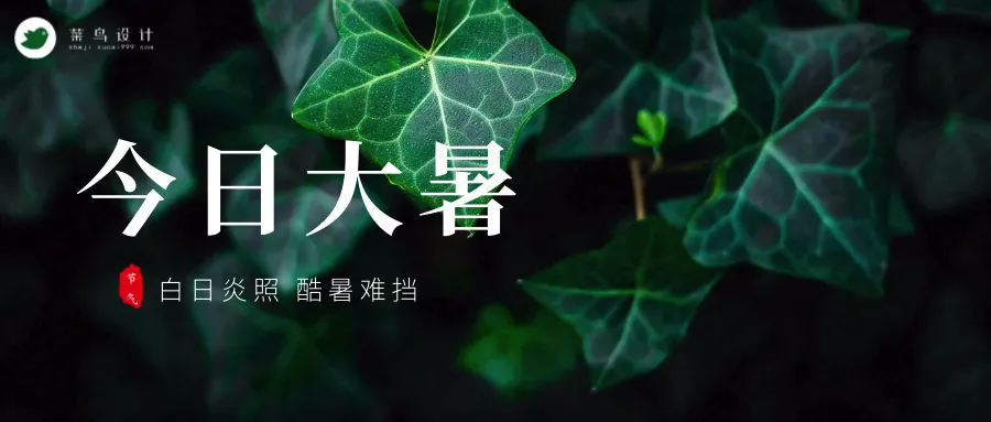 大暑公众号首图