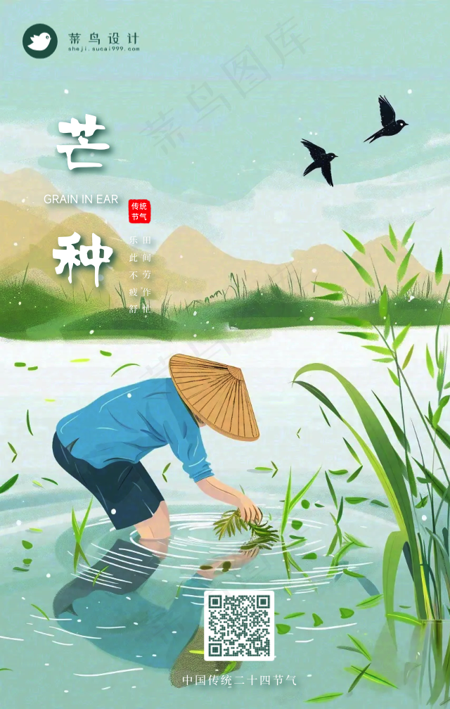 芒种手机海报