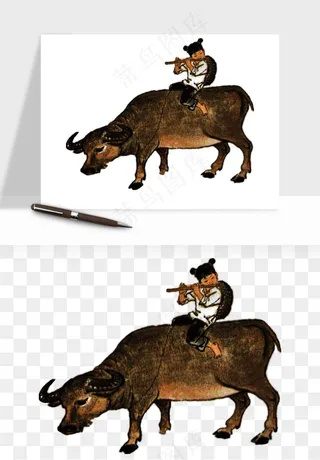 牧童放牛的孩子png免抠