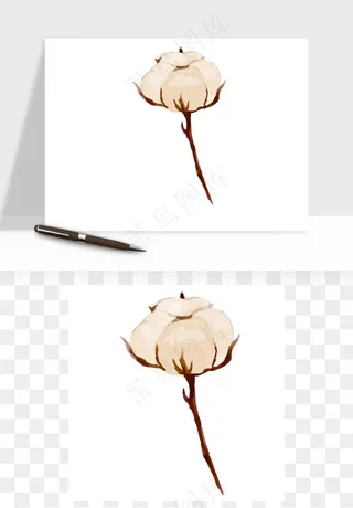 手绘棉花矢量png免抠