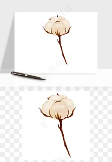 手绘棉花矢量png免抠 手绘棉花矢量png免抠