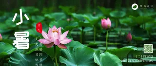 小暑公众号首图