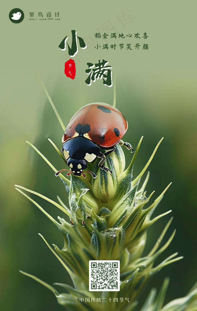 小满手机海报