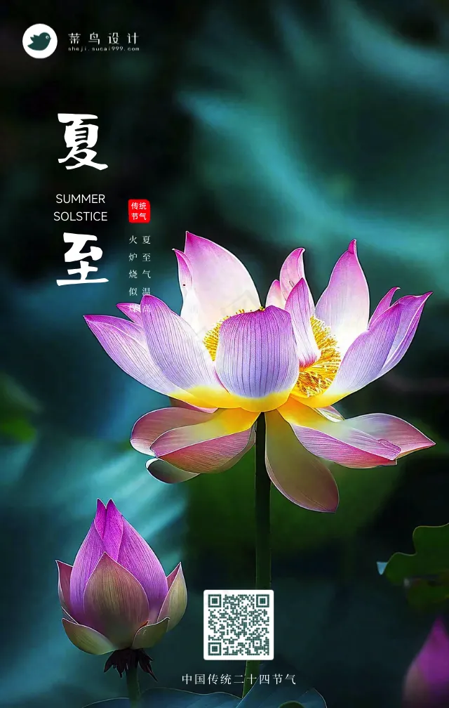 夏至手机海报
