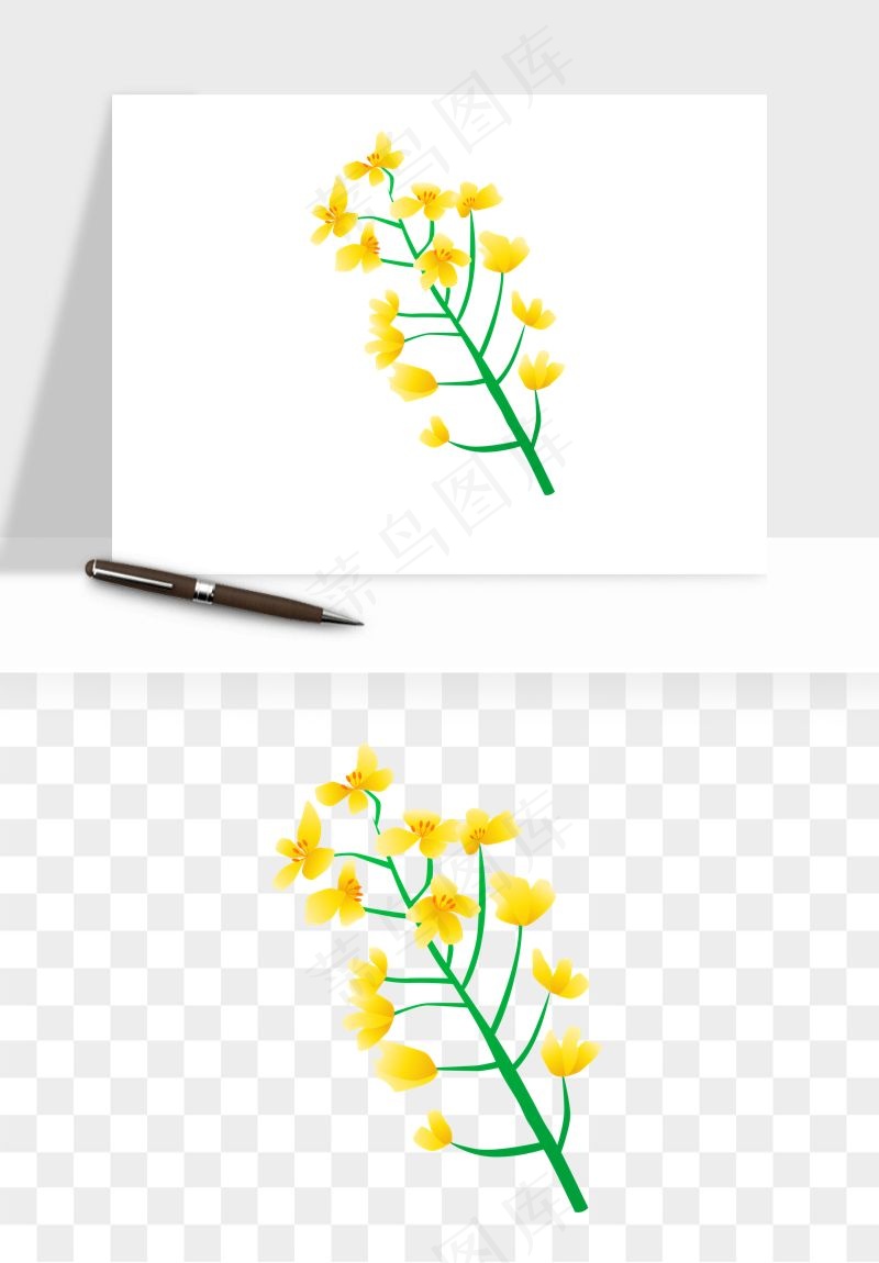 油菜花田png免抠