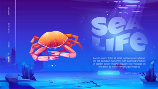 海鲜海报水纹水缸