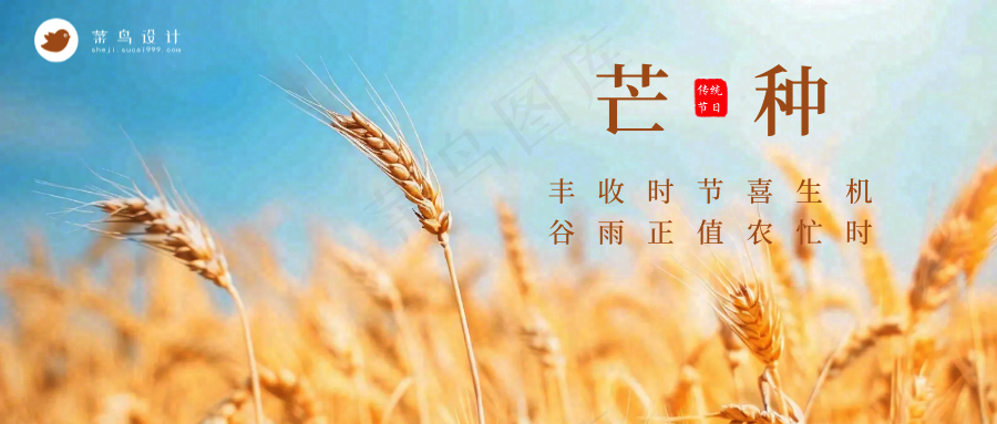 芒种公众号首图