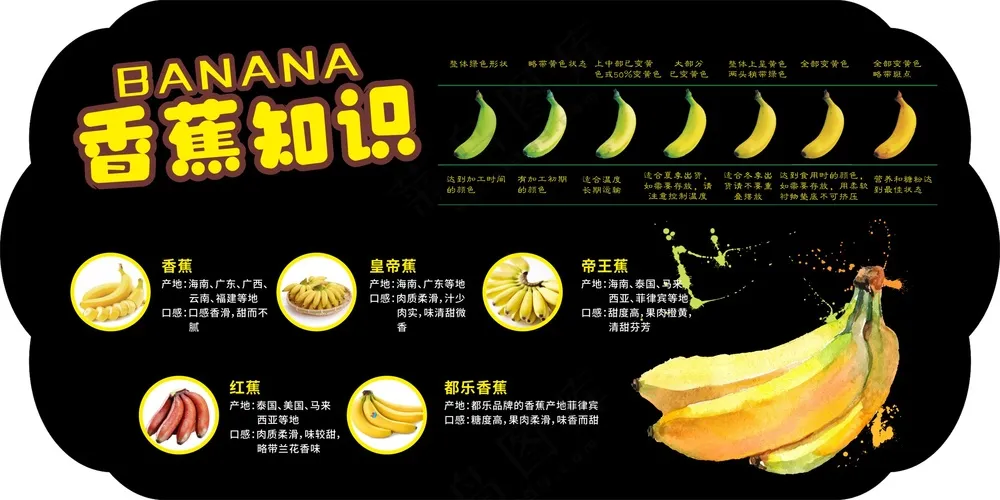 香蕉吊牌设计