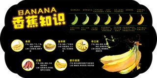 香蕉吊牌设计